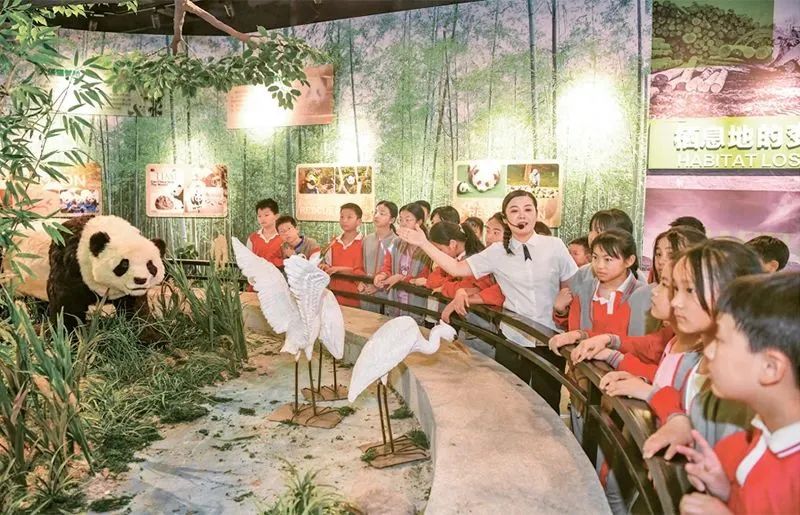 著力培養(yǎng)擔(dān)當(dāng)民族復(fù)興大任的時(shí)代新人